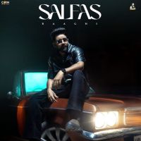 Salfas Baaghi MP3 Song, Salfas Album