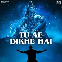 Tu Ae Dikhe Hai Ndee Kundu MP3 Song, Tu Ae Dikhe Hai Album