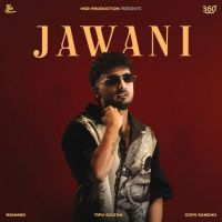 Jawani Tippu Sultan MP3 Song, Jawani Album
