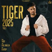 Kaun Hou Tiger mp3 song ringtone, Tiger 2025 Vol. 1 Tiger Ringtone Download - DjPunjab.Com