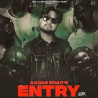 Download Entry Aadab Brar full mp3 album