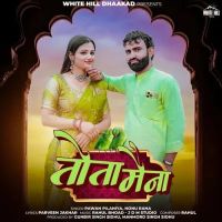 Tota Maina Pawan Pilaniya, Nonu Rana MP3 Song, Tota Maina Album