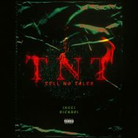 TNT Jxggi MP3 Song, TNT Album