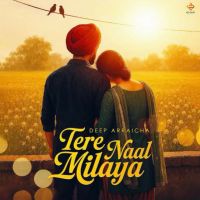 Tere Naal Milaya Deep Arraicha MP3 Song, Tere Naal Milaya Album