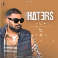 Haters Aakash Grewal MP3 Song, Haters Album