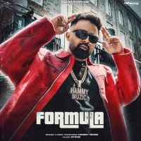 FORMULA Hammy Muzic MP3 Song, FORMULA Album