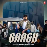 Baagh Khasa Aala Chahar MP3 Song, Baagh Album