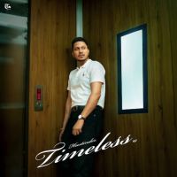 Punjab Wal Nu Hustinder MP3 Song, Timeless Album