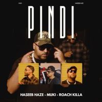 Download Pindi By Haseeb Haze full mp3 album