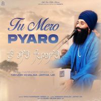 Tu Mero Pyaro Nirvair Khalsa Jatha UK MP3 Song, Tu Mero Pyaro Album