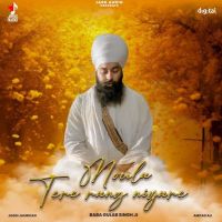 Moula Tere Rang Niyare Baba Gulab Singh Ji MP3 Song, Moula Tere Rang Niyare Album