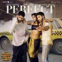 Perfect Guru Randhawa MP3 Song, Perfect Album