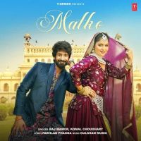 Matko Raj Mawer, Komal Chaudhary MP3 Song, Matko Album