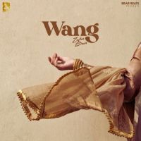 Wang Zafar Brar MP3 Song, Wang Album