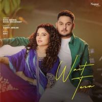 Wait Tera Sukh Deswal, Shiva Choudhary MP3 Song, Wait Tera Album