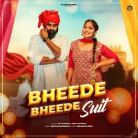 Bheede Bheede Suit Raj Mawar, Ashu Twinkle MP3 Song, Bheede Bheede Suit Album