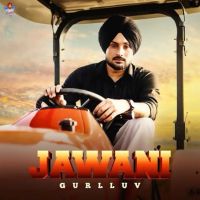 Jawani Gurlluv MP3 Song, Jawani Album