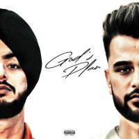 Stunner Zehr Vibe MP3 Song, Gods Plan Album