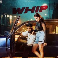 Whip Baaghi MP3 Song, Whip Album