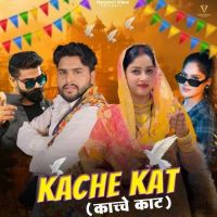 Kache Kat Ashu Twinkle, Raj Mawar MP3 Song, Kache Kat Album
