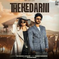Thekedarni Raj Mawar, Anjali 99 MP3 Song, Thekedarni Album