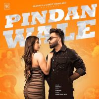 Pindan Wale Sarthi K MP3 Song, Pindan Wale Album