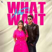 What You Want Arjun Sahota MP3 Song, What You Want Album