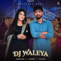 Dj Waleya Surinder Baba MP3 Song, Dj Waleya Album