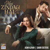 Meri Zindagi Hai Tu Asim Azhar MP3 Song, Meri Zindagi Hai Tu Album