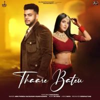 Thaare Bateu Ashu Twinkle, Raj Mawar MP3 Song, Thaare Bateu Album