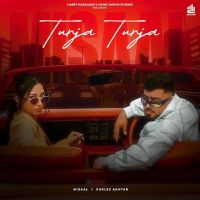 Turja Turja Misaal MP3 Song, Turja Turja Album