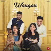 Wangan Afsar MP3 Song, Wangan Album