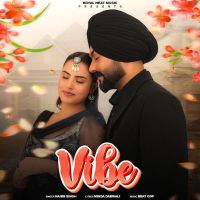 Vibe Naibb Singh MP3 Song, Vibe Album