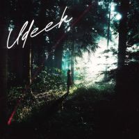UDEEK Zehr Vibe MP3 Song, UDEEK Album