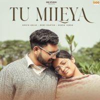 Tu Mileya Boota Aklia MP3 Song, Tu Mileya Album