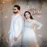Tere Jehi Shivjot MP3 Song, Tere Jehi Album
