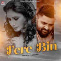 Tere Bin Naseebo Lal MP3 Song, Tere Bin Album