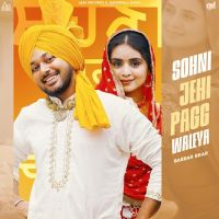 Sohni Jehi Pagg Waleya Babbar Brar MP3 Song, Sohni Jehi Pagg Waleya Album