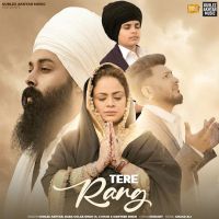 Tere Rang Gurlez Akhtar, Baba Gulab Singh Ji MP3 Song, Tere Rang Album