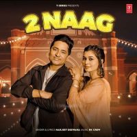2 Naag Harjeet Deewana MP3 Song, 2 Naag Album