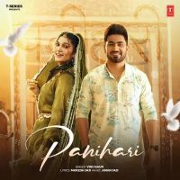 Panihari Vinu Gaur MP3 Song, Panihari Album