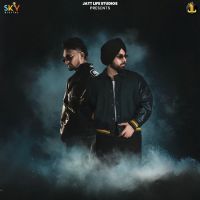 Tere Piche Zaildar MP3 Song, Tere Piche Album